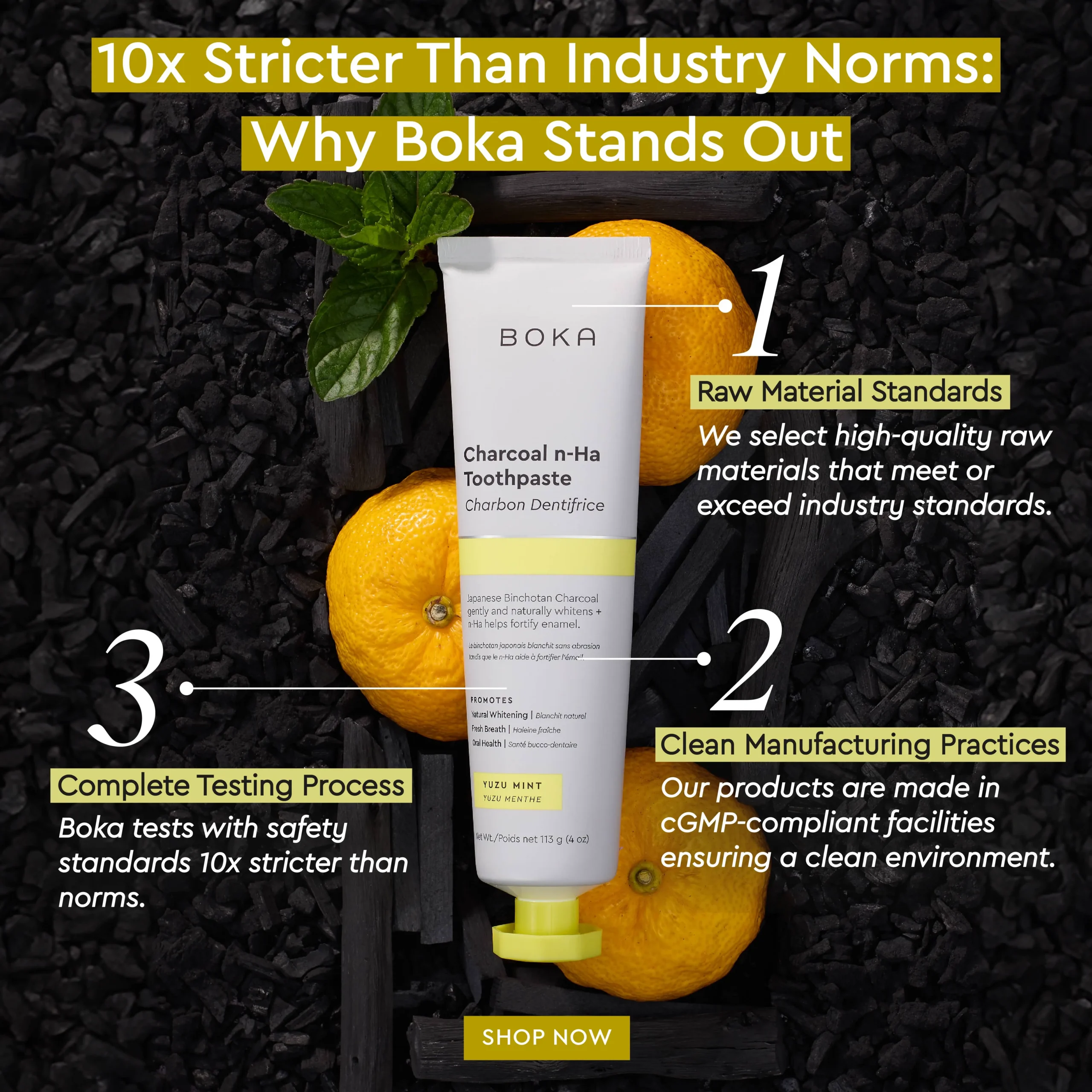 Boka Statics Health 10