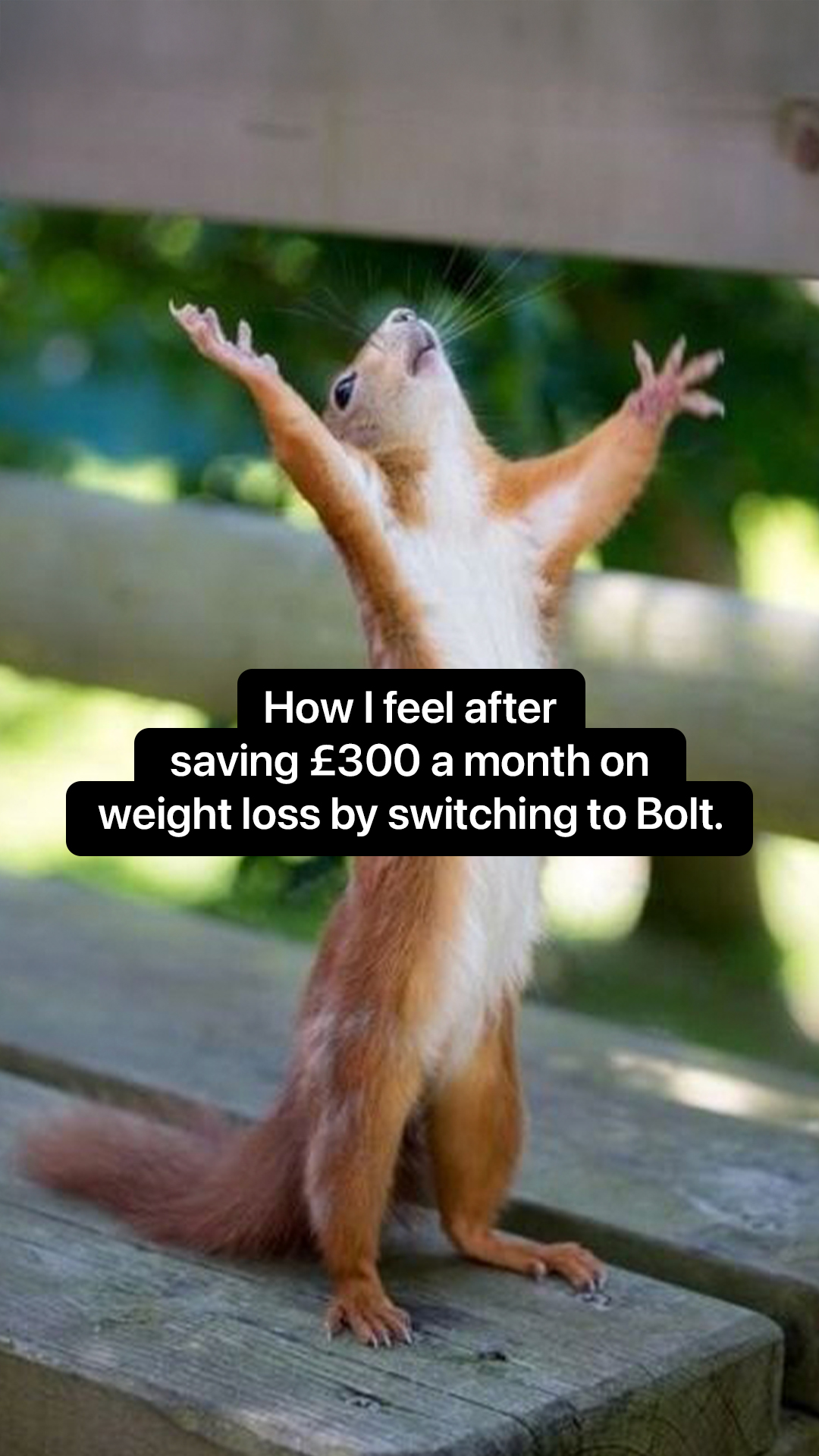 Bolt Pharmacy Statics Health 1